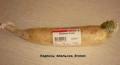 Апельсины Египет