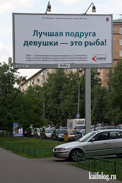 Лучшая подруга девушки - это рыба!