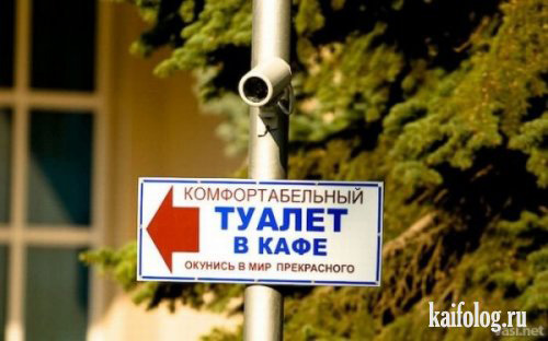 Комфортабельный туалет в кафе. Окунись в мир прекрасного