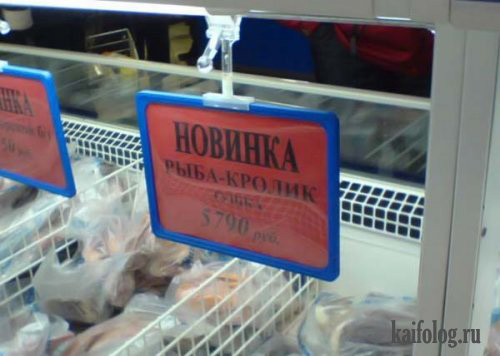 Новинка рыба-кролик