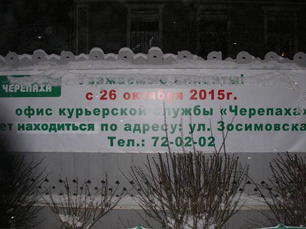 курьерская служба Черепаха